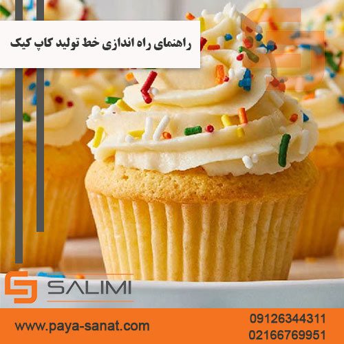راهنمای راه اندازی خط تولید کاپ کیک از انتخاب تجهیزات تا بهره‌ برداری صنعتی سودآور